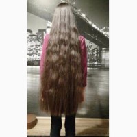 Скупка волосся у Кривому Рогу до 125 00 грн Купуємо волосся від 35 см Стрижка в ПОДАРОК