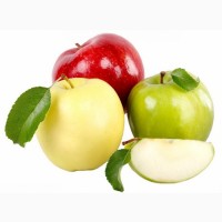 Закуповуємо яблука для виробництва соків