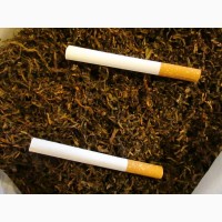 Продам семена табака сорт:Вирджиния Голд, ГаванаZ-992, Ксанти(Греция)ориентал, Берли-21