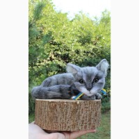 Котик сірий валяна іграшка інтерєрна сувенір подарунок кошка хендмєйд кошка