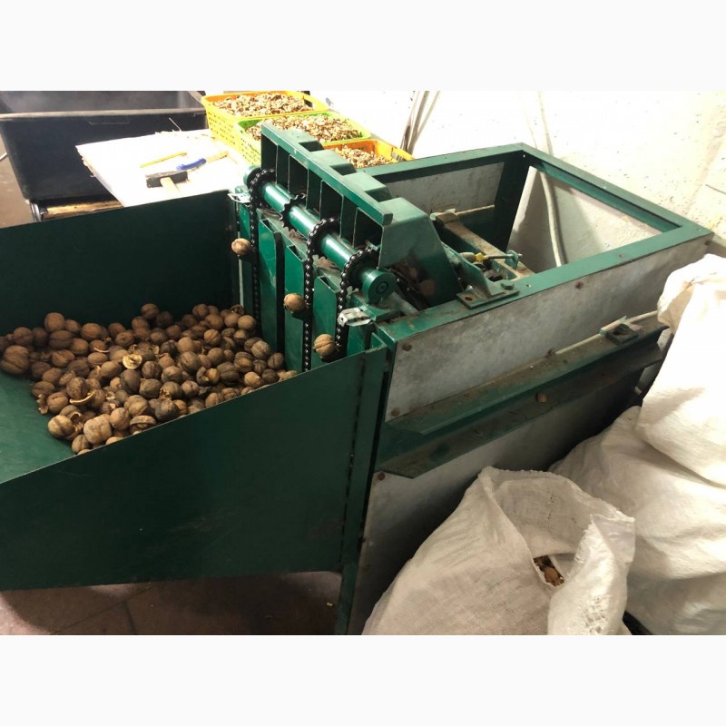Фото 2. Обладнання для переробки волоського горіха