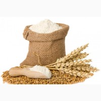 Купим зерно пшеницы на экспорт