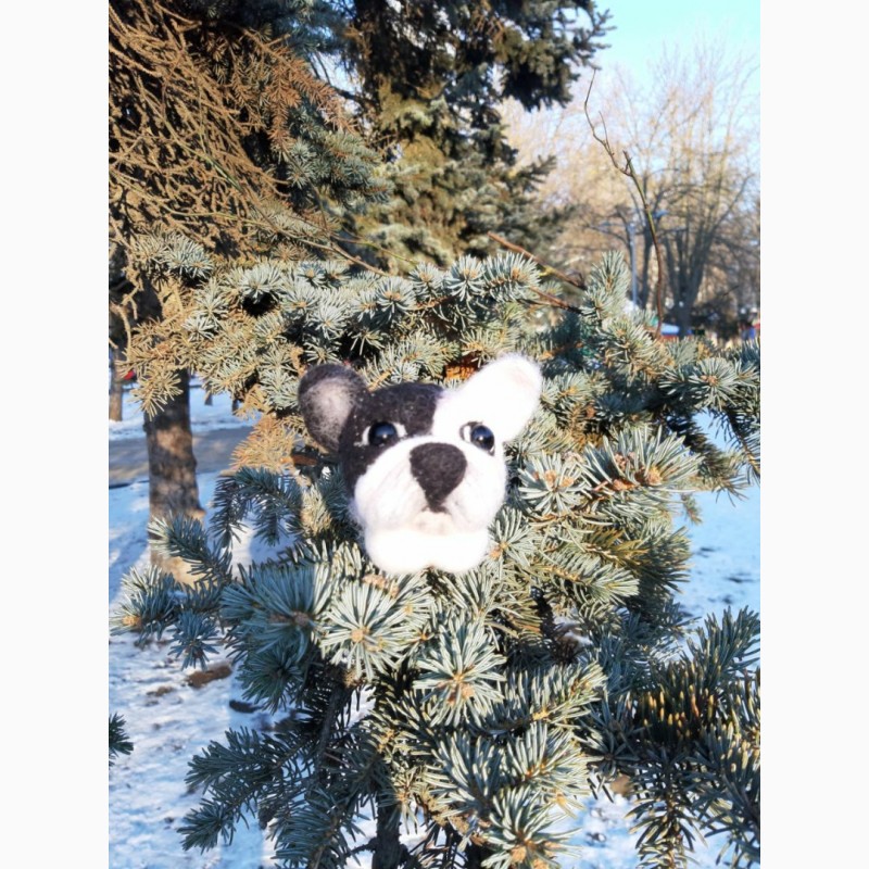 Фото 4. Французский бульдог собака игрушка хендмєйд валяная из шерсти интерьерная ручная работа
