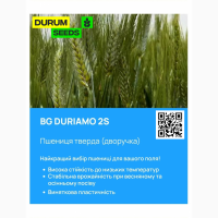 Насіння пшениці Durum Seeds - Оригінатор - Biogranum ( Сербія )