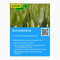 Насіння пшениці Durum Seeds - Оригінатор - Biogranum ( Сербія )