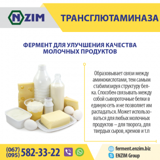Трансглютаминаза (ТГ) ENZIM - Купить фермент у производителя