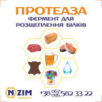 Протеаза ENZIM - Фермент для расщепления белка (произведено в Украине)