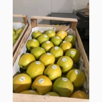 Продам яблука експортної якості ціна договірна.м.Немирів, Вінницька обл