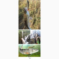 Инновационная приманка для рыбы Lucky Lure, рыбалка
