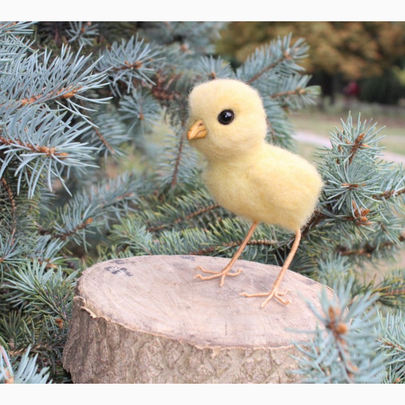 Фото 6. Цыпленок светлый игрушка хендмєйд валяная из шерсти ручной работы птица интерьерная курча