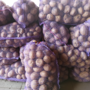 Фото 2. Продам оптом товарну картоплю сорту Арізона- опт від 1т, а також насіння Арізона