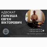 Консультация юриста в Киеве