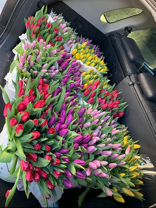Тюльпани опт, 8 березня, квітиWquT