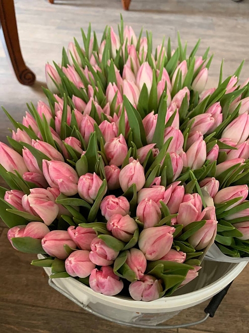 Фото 4. Тюльпани опт, 8 березня, квітиWquT