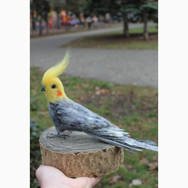 Фото 5. Валяная игрушка попугай хендмэйд корелла из шерсти подарок сувенир ручной работы птица