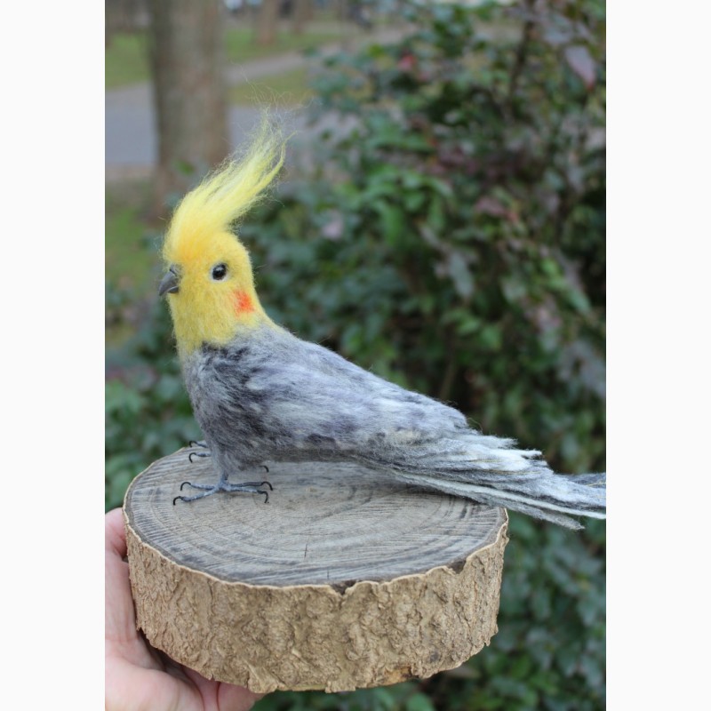 Фото 7. Валяная игрушка попугай хендмэйд корелла из шерсти подарок сувенир ручной работы птица