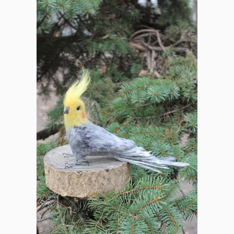 Фото 8. Валяная игрушка попугай хендмэйд корелла из шерсти подарок сувенир ручной работы птица