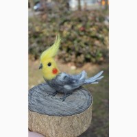 Валяна іграшка попугай корелла з шерсті хендмєйд інтерєрна птиця подарок сувенір папуга