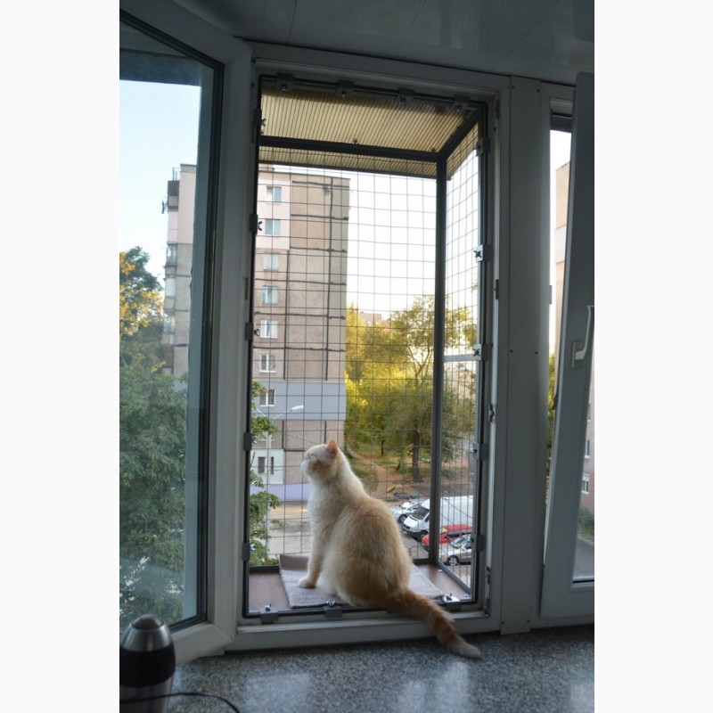 Фото 10. Балкон для выгула кошек, по почте. Броневик Днепр