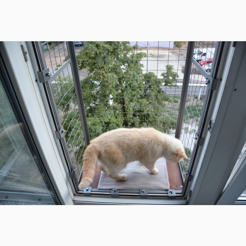 Фото 3. Балкон для выгула кошек, по почте. Броневик Днепр