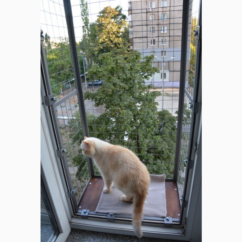 Фото 5. Балкон для выгула кошек, по почте. Броневик Днепр