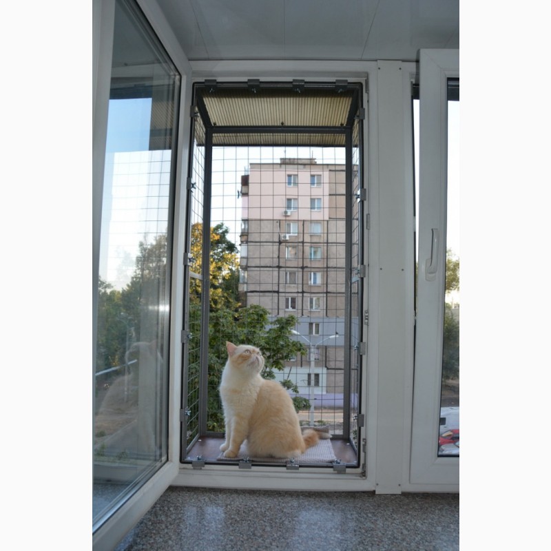 Фото 7. Балкон для выгула кошек, по почте. Броневик Днепр