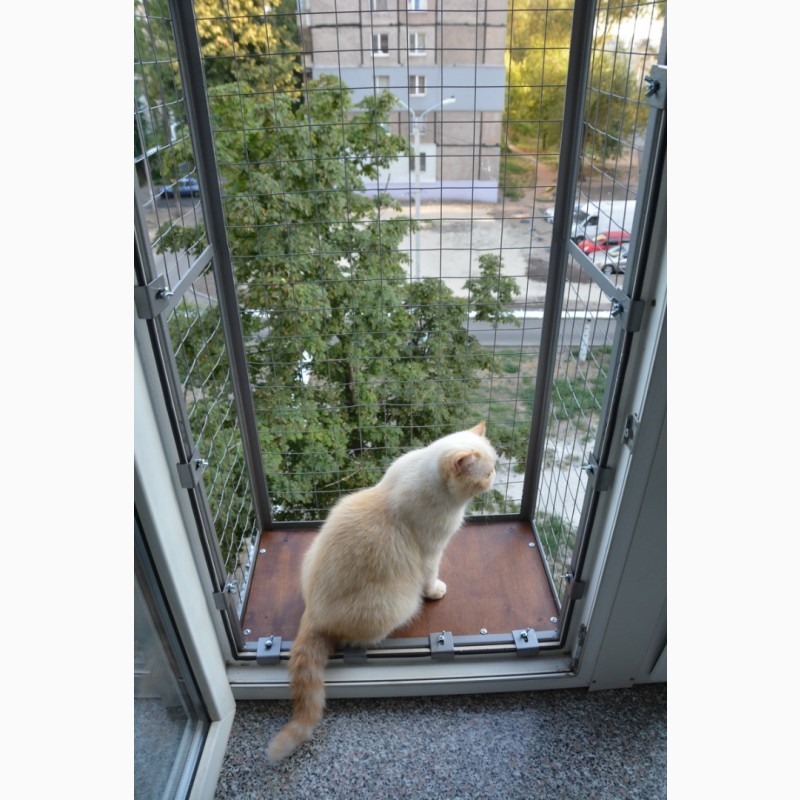 Фото 9. Балкон для выгула кошек, по почте. Броневик Днепр