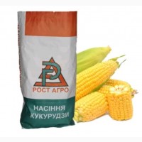 Семена кукурузы Девис ФАО 280 Рост Агро