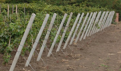 Бетонные столбы для винограда малины Запорожья