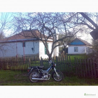 Продам дом в Царичанском районе