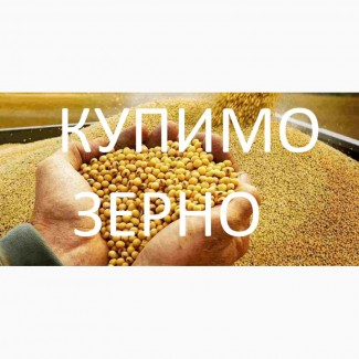 Закуповуємо сою будь-якої якості, гмо и без ГМО По Волинській області