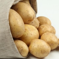 Vegetables Export Price Potato Wholesale Fresh Potatoes
