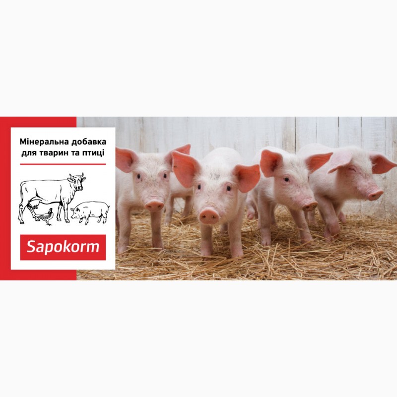 Сапокорм - мінеральна добавка до корму свиней, тона
