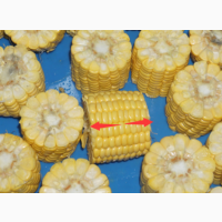 Машина для нарізки кукурудзи на частини STvega Portioned Corn H1800