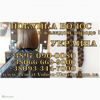 Продать волосы в Харькове дорого Купим волосы дорого 0933447000