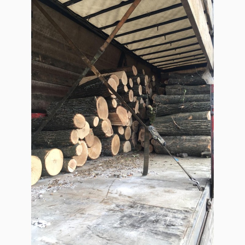 Фото 11. Продам в больших количествах дрова твердых пород (дуб, ясень, акация) и фруктовые дрова