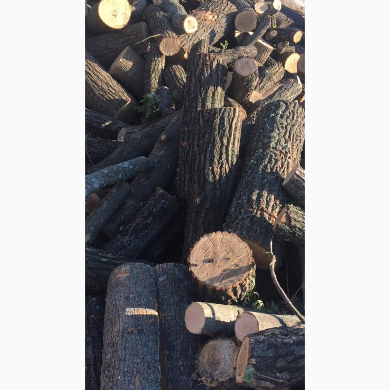 Фото 12. Продам в больших количествах дрова твердых пород (дуб, ясень, акация) и фруктовые дрова