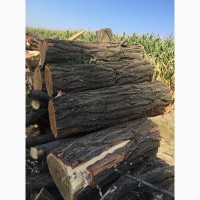 Продам в больших количествах дрова твердых пород (дуб, ясень, акация) и фруктовые дрова