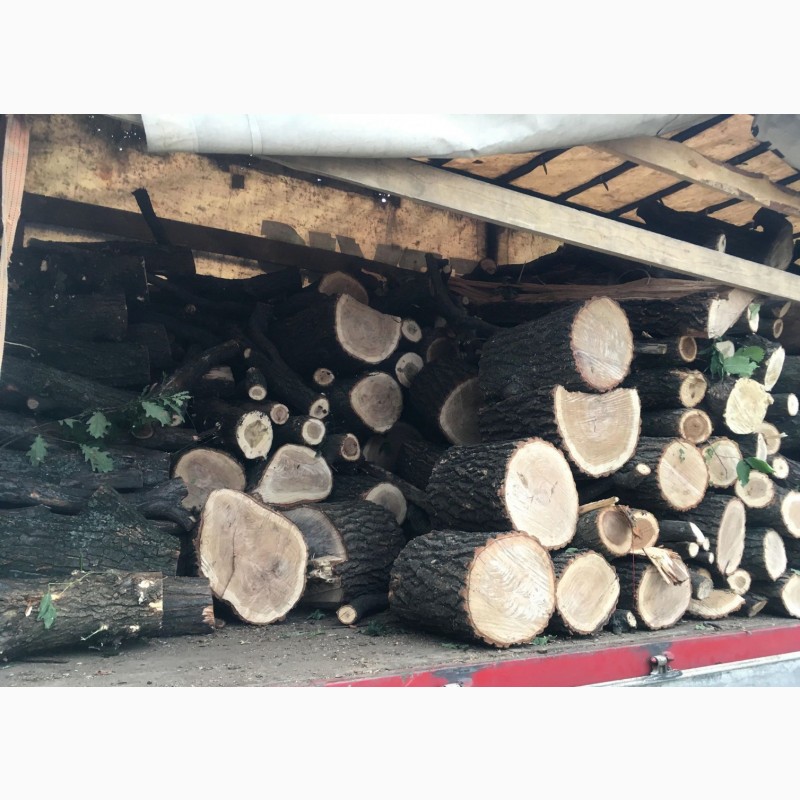 Фото 3. Продам в больших количествах дрова твердых пород (дуб, ясень, акация) и фруктовые дрова