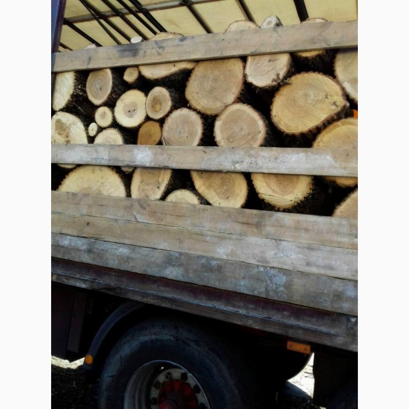 Фото 5. Продам в больших количествах дрова твердых пород (дуб, ясень, акация) и фруктовые дрова