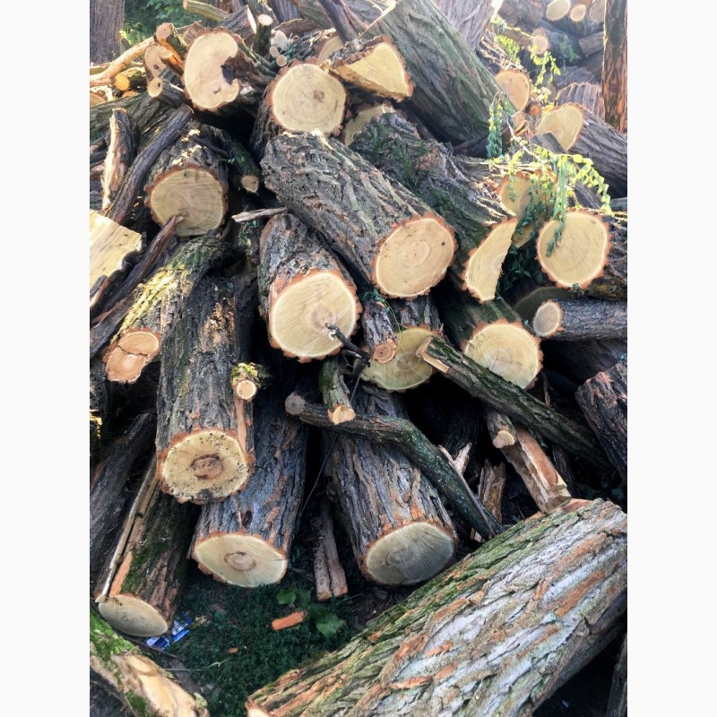 Фото 7. Продам в больших количествах дрова твердых пород (дуб, ясень, акация) и фруктовые дрова