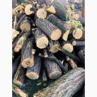 Продам в больших количествах дрова твердых пород (дуб, ясень, акация) и фруктовые дрова