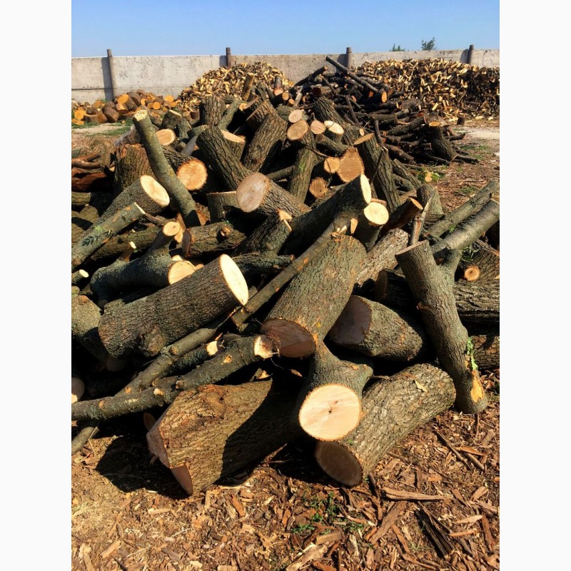 Фото 8. Продам в больших количествах дрова твердых пород (дуб, ясень, акация) и фруктовые дрова