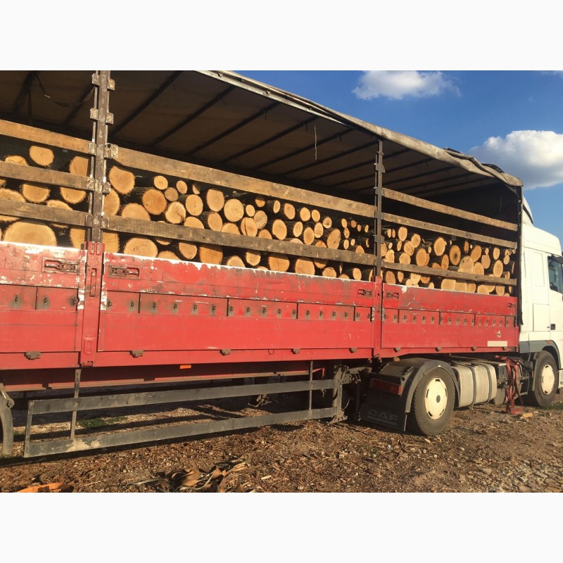Фото 9. Продам в больших количествах дрова твердых пород (дуб, ясень, акация) и фруктовые дрова