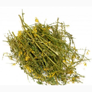 Донник (буркун) (трава) фасовка от 100 грамм - 1 кг