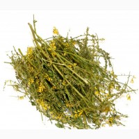 Донник (буркун) (трава) фасовка от 100 грамм - 1 кг