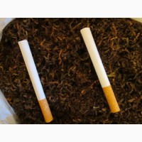 Табак семена Гавана Z-992, Ксанти, Вирджиния, Берли.Болеше 2000 семян-20грн