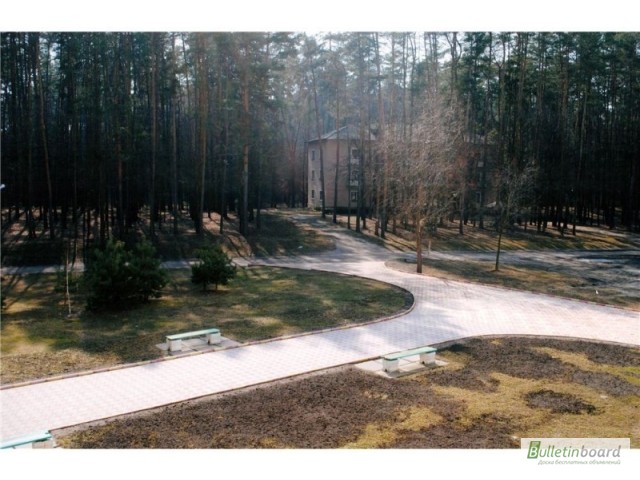 Фото 4. Продается уникальный санаторный комплекс в 10 км от г. Черкассы, в лесу на берегу Днепра
