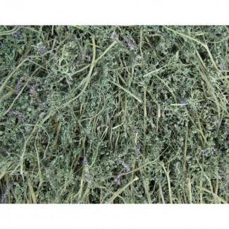 Дымянка (рутка) (трава) фасовка от 100 грамм - 1 кг