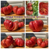 Насіння перцю та томатів